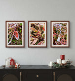 Frosted Leaves Canvas Art | Winter Nature Photography | 3-Piece Set