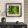 Green Botanical Canvas Wall Art | Yorkshire Fog Grass with Raindrops | Authentic Macro Photography | Unframed Horizontal Print for Biophilic Decor