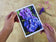 Greeting / Note Cards with Envelopes Featuring Vibrant Hydrangea Blossoms Original Photography | Blank 4 Cards Set 4.5x6.25 in, 5.5x8.5 in