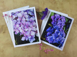 Greeting / Note Cards with Envelopes Featuring Vibrant Hydrangea Blossoms Original Photography | Blank 4 Cards Set 4.5x6.25 in, 5.5x8.5 in
