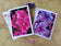 Greeting / Note Cards with Envelopes Featuring Vibrant Hydrangea Blossoms Original Photography | Blank 4 Cards Set 4.5x6.25 in, 5.5x8.5 in