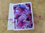 Greeting / Note Cards with Envelopes Featuring Vibrant Hydrangea Blossoms Original Photography | Blank 4 Cards Set 4.5x6.25 in, 5.5x8.5 in