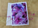 Greeting / Note Cards with Envelopes Featuring Vibrant Hydrangea Blossoms Original Photography | Blank 4 Cards Set 4.5x6.25 in, 5.5x8.5 in