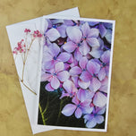 Greeting / Note Cards with Envelopes Featuring Vibrant Hydrangea Blossoms Original Photography | Blank 4 Cards Set 4.5x6.25 in, 5.5x8.5 in