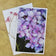 Greeting / Note Cards with Envelopes Featuring Vibrant Hydrangea Blossoms Original Photography | Blank 4 Cards Set 4.5x6.25 in, 5.5x8.5 in