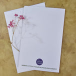 Greeting / Note Cards with Envelopes Featuring Vibrant Hydrangea Blossoms Original Photography | Blank 4 Cards Set 4.5x6.25 in, 5.5x8.5 in
