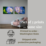 Summer Brilliance — Blue Hydrangea in Sunset Macro Photography | Unframed Horizontal Canvas Wall Art Set of 2 for Living Room