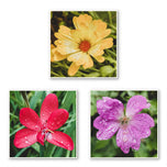 Kissed by Rain — Summer Garden Flowers Macro Photography | Unframed Canvas Print Set of 3 | Biophilic Square Wall Art
