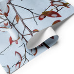 Nature-Inspired Holiday Gift Premium Wrapping Paper Featuring Winter Snow Red Leaves Authentic Photography | 28.75"×19.75" Set of 3 Sheets