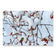 Nature-Inspired Holiday Gift Premium Wrapping Paper Featuring Winter Snow Red Leaves Authentic Photography | 28.75"×19.75" Set of 3 Sheets