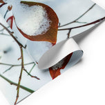 Nature-Inspired Holiday Gift Premium Wrapping Paper Featuring Winter Snow Red Leaves Authentic Photography | 28.75"×19.75" Set of 3 Sheets