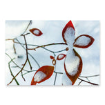 Nature-Inspired Holiday Gift Premium Wrapping Paper Featuring Winter Snow Red Leaves Authentic Photography | 28.75"×19.75" Set of 3 Sheets