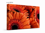 Orange Floral Canvas Wall Art | Spring Gerbera Macro Photography | Horizontal Gallery Wrapped Print | Ready to Hang