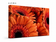 Orange Floral Canvas Wall Art | Spring Gerbera Macro Photography | Horizontal Gallery Wrapped Print | Ready to Hang