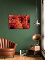 Orange Floral Canvas Wall Art | Spring Gerbera Macro Photography | Horizontal Gallery Wrapped Print | Ready to Hang