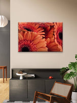 Orange Floral Canvas Wall Art | Spring Gerbera Macro Photography | Horizontal Gallery Wrapped Print | Ready to Hang