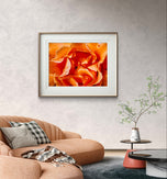 Orange Rose Petals with Raindrops - Authentic Macro Photography - Unframed Canvas Horizontal Print - Biophilic Style Wall Art Decor