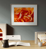 Orange Rose Petals with Raindrops - Authentic Macro Photography - Unframed Canvas Horizontal Print - Biophilic Style Wall Art Decor