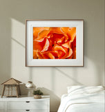 Orange Rose Petals with Raindrops - Authentic Macro Photography - Unframed Canvas Horizontal Print - Biophilic Style Wall Art Decor