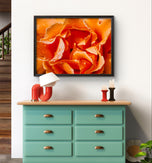 Orange Rose Petals with Raindrops - Authentic Macro Photography - Unframed Canvas Horizontal Print - Biophilic Style Wall Art Decor
