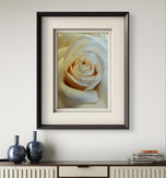 Pale Yellow Roses Canvas Wall Art Set of 3 | Unframed Vertical Photography Prints | Biophilic Home Office Decor