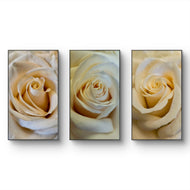 Pale Yellow Roses Canvas Wall Art Set of 3 | Unframed Vertical Photography Prints | Biophilic Home Office Decor