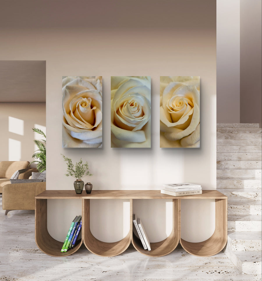 Three framed rose closeup photography prints on a wall above a wooden console table.