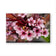 Pink Cherry Blossom Gallery Wrapped Canvas Wall Art | Horizontal Macro Flower Photography Print | Ready to Hang