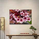 Pink Cherry Blossom Gallery Wrapped Canvas Wall Art | Horizontal Macro Flower Photography Print | Ready to Hang