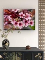 Pink Cherry Blossom Gallery Wrapped Canvas Wall Art | Horizontal Macro Flower Photography Print | Ready to Hang