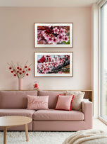 Pink Cherry Blossom Macro Photography Canvas Set of 2 | Unframed Horizontal Prints | Biophilic Décor for Living Room, Bedroom & Office