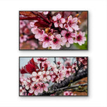 Pink Cherry Blossom Macro Photography Canvas Set of 2 | Unframed Horizontal Prints | Biophilic Décor for Living Room, Bedroom & Office