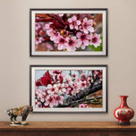 Pink Cherry Blossom Macro Photography Canvas Set of 2 | Unframed Horizontal Prints | Biophilic Décor for Living Room, Bedroom & Office