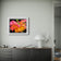 Pink and Gold Bicolor Rose with Raindrops Canvas Wall Art | Authentic Macro Photography | Unframed Horizontal Print