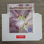 Pink Lily Blossom Canvas Wall Art Set of 3 | Unframed Square Macro Photography Prints | Spring Magic Collection