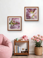 Pink Lily Blossom Canvas Wall Art Set of 3 | Unframed Square Macro Photography Prints | Spring Magic Collection