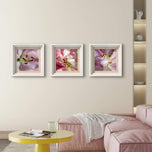 Pink Lily Blossom Canvas Wall Art Set of 3 | Unframed Square Macro Photography Prints | Spring Magic Collection