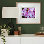 Kissed by Rain — Pink Rhododendrons with Raindrops | Canvas Wall Art Set of 4 | Pacific Northwest Macro Photography | Unframed Horizontal Prints | Biophilic Home Decor