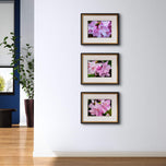 Kissed by Rain — Pink Rhododendrons with Raindrops | Canvas Wall Art Set of 4 | Pacific Northwest Macro Photography | Unframed Horizontal Prints | Biophilic Home Decor