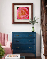 For Rose Lovers — Pink Rose Closeup Photography | Unframed Square Canvas Wall Art Print for Living Room