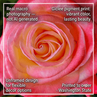 For Rose Lovers — Pink Rose Closeup Photography | Unframed Square Canvas Wall Art Print for Living Room