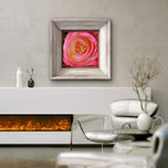 For Rose Lovers — Pink Rose Closeup Photography | Unframed Square Canvas Wall Art Print for Living Room