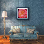 For Rose Lovers — Pink Rose Closeup Photography | Unframed Square Canvas Wall Art Print for Living Room
