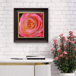 For Rose Lovers — Pink Rose Closeup Photography | Unframed Square Canvas Wall Art Print for Living Room