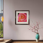 For Rose Lovers — Pink Rose Closeup Photography | Unframed Square Canvas Wall Art Print for Living Room