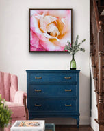 For Rose Lovers - Pink Roses Macro Photography | Unframed Square Canvas Wall Art Set of 4 for Living Room