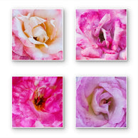 files/Pink-Rose-Unframed-Canvas-Wall-Art-Set-of-4-Macro-Photo-Square-Prints_12.jpg