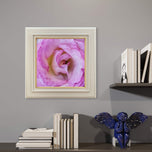 For Rose Lovers - Pink Roses Macro Photography | Unframed Square Canvas Wall Art Set of 4 for Living Room
