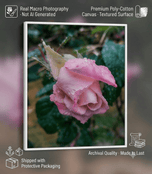 For Rose Lovers — Pink Rainy Roses Closeup Photography | Unframed Canvas Wall Art Set of 4 for Living Room