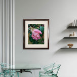 For Rose Lovers — Pink Rainy Roses Closeup Photography | Unframed Canvas Wall Art Set of 4 for Living Room